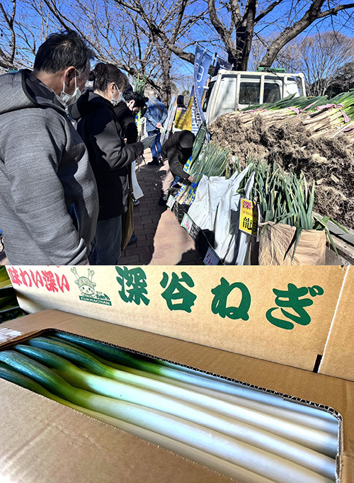 埼⽟県産深⾕ねぎ⼤収穫祭