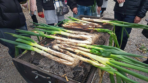 埼⽟県産深⾕ねぎ⼤収穫祭