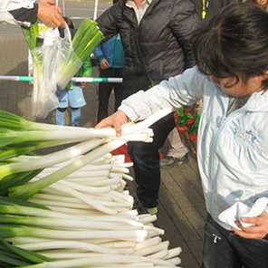 埼⽟県産深⾕ねぎ⽚⼿掴み放題