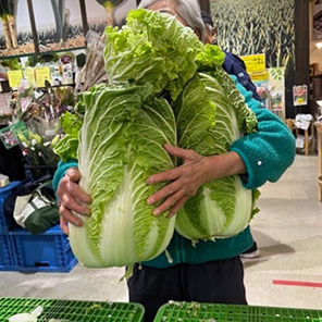 茨城県産⼤根⽚⼿掴み放題