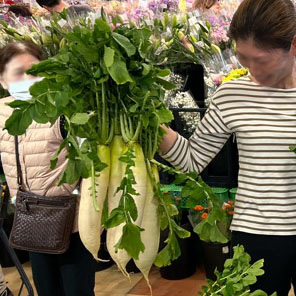 茨城県産⽩菜抱え込み放題