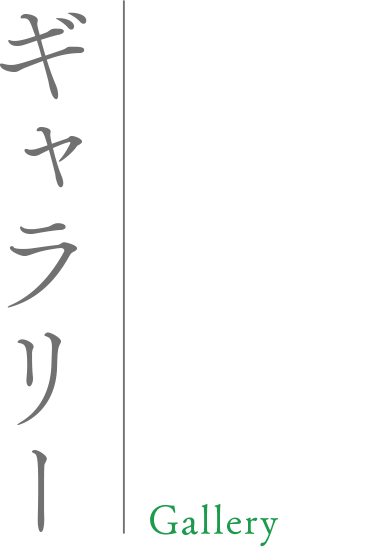 ギャラリー